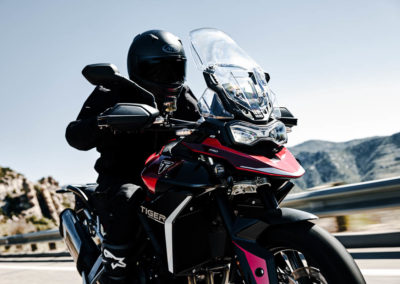 Tiger 900 GT Pro MY24 07428 JP