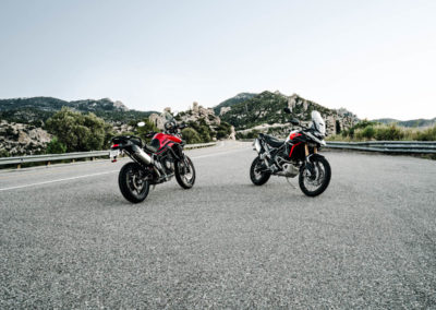 Tiger 900 Rally Pro MY24 04554 JP