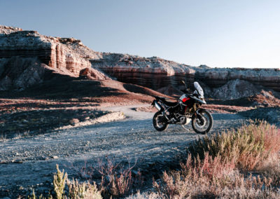 Tiger 900 Rally Pro MY24 11276 JP