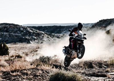 Tiger 900 Rally Pro MY24 14443 JP