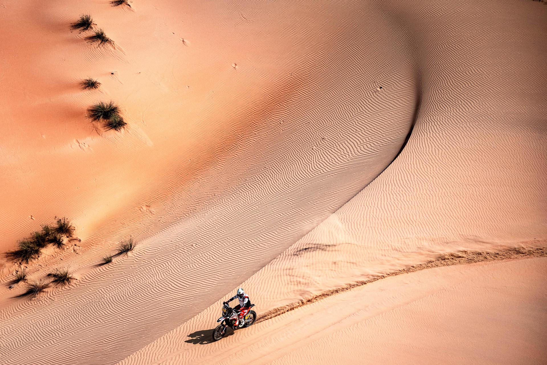 20250224ADDC0130-A.S.O. Edophoto DPPI Edoardo Bauer Abu Dhabi Desert Challenge adventure event