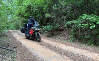 Sisters of the SEBDR