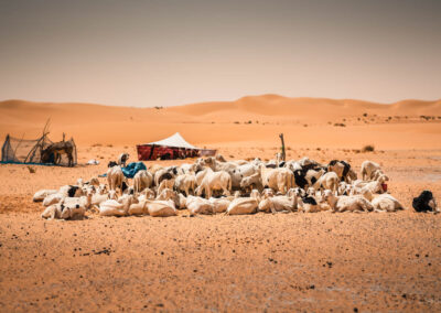 EgiAfrica 11 - BTA Magazine