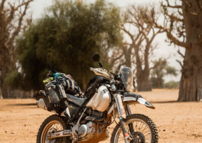 EgiAfrica 15 - BTA Magazine