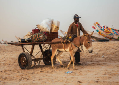 EgiAfrica 19 - BTA Magazine