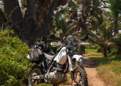 EgiAfrica 21 - BTA Magazine