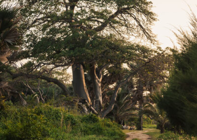 EgiAfrica 22 - BTA Magazine