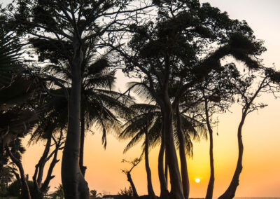 Solo Motorcycle Adventure Across Africa from Atlas to the Atlantic