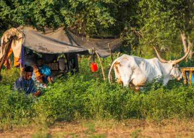 EgiAfrica 4 - BTA Magazine