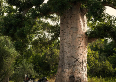 EgiAfrica 40 - BTA Magazine