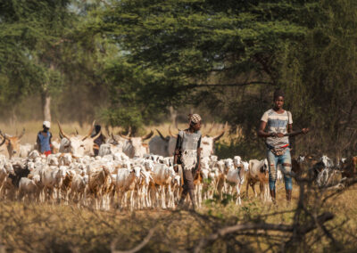 EgiAfrica 42 - BTA Magazine