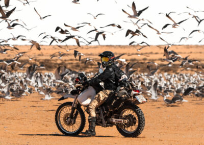 EgiAfrica 59 - BTA Magazine