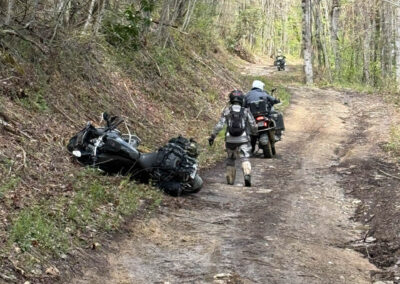 GrilsBDRp2 223 - BTA Magazine