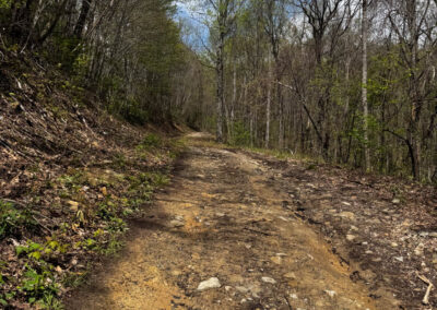 GrilsBDRp2 224 - BTA Magazine