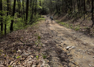 GrilsBDRp2 225 - BTA Magazine