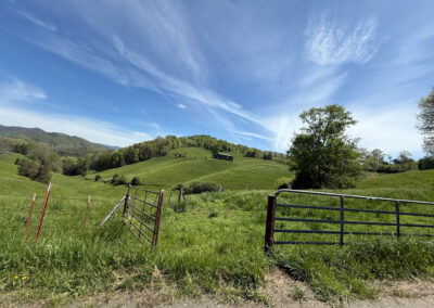 GrilsBDRp2 270 - BTA Magazine