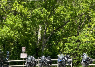 GrilsBDRp2 274 - BTA Magazine