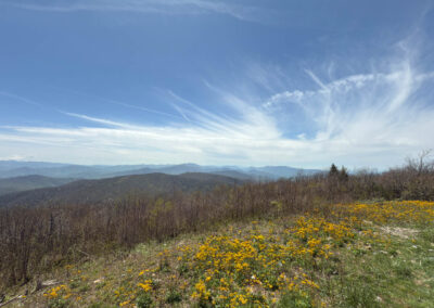 GrilsBDRp2 281 - BTA Magazine