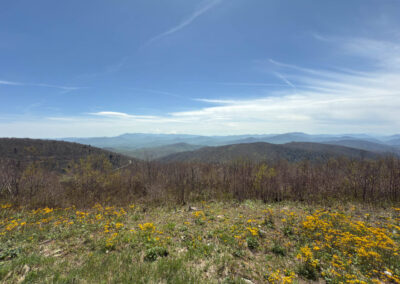 GrilsBDRp2 282 - BTA Magazine