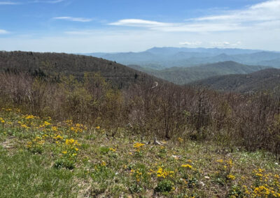 GrilsBDRp2 288 - BTA Magazine