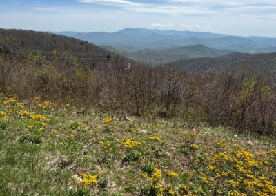 GrilsBDRp2 289 - BTA Magazine