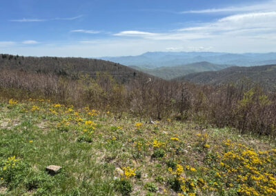 GrilsBDRp2 290 - BTA Magazine