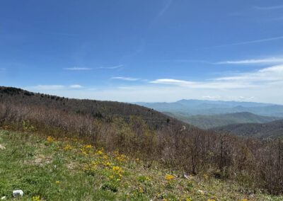 GrilsBDRp2 291 - BTA Magazine