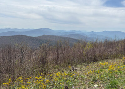 GrilsBDRp2 292 - BTA Magazine