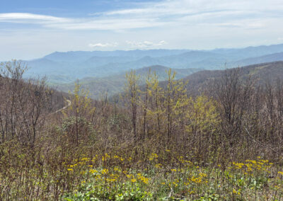 GrilsBDRp2 293 - BTA Magazine