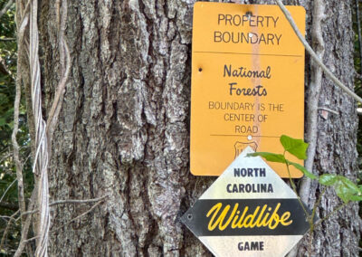 GrilsBDRp2 309 - BTA Magazine