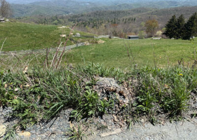 GrilsBDRp2 321 - BTA Magazine