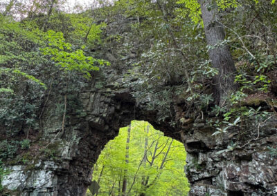 GrilsBDRp2 351 - BTA Magazine