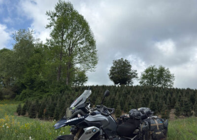 GrilsBDRp2 356 - BTA Magazine