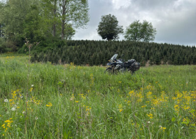 GrilsBDRp2 358 - BTA Magazine