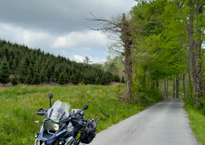 GrilsBDRp2 361 - BTA Magazine