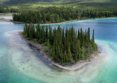 UshutoAlaDiego 203 - BTA Magazine