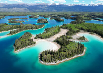 UshutoAlaDiego 204 - BTA Magazine