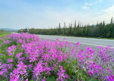 UshutoAlaDiego 219 - BTA Magazine