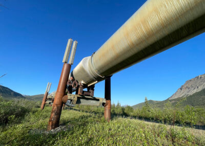 UshutoAlaDiego 230 - BTA Magazine