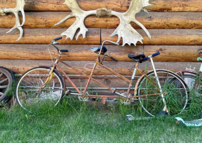 UshutoAlaDiego 248 - BTA Magazine