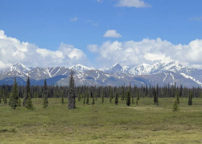 UshutoAlaDiego 253 - BTA Magazine