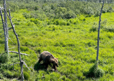 UshutoAlaDiego 266 - BTA Magazine