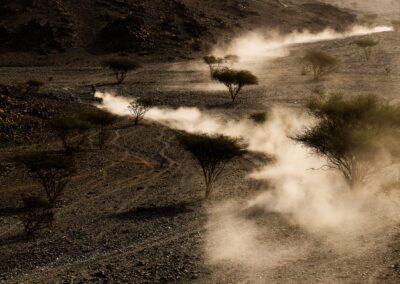 BTA17 Dakar26 010 - BTA Magazine