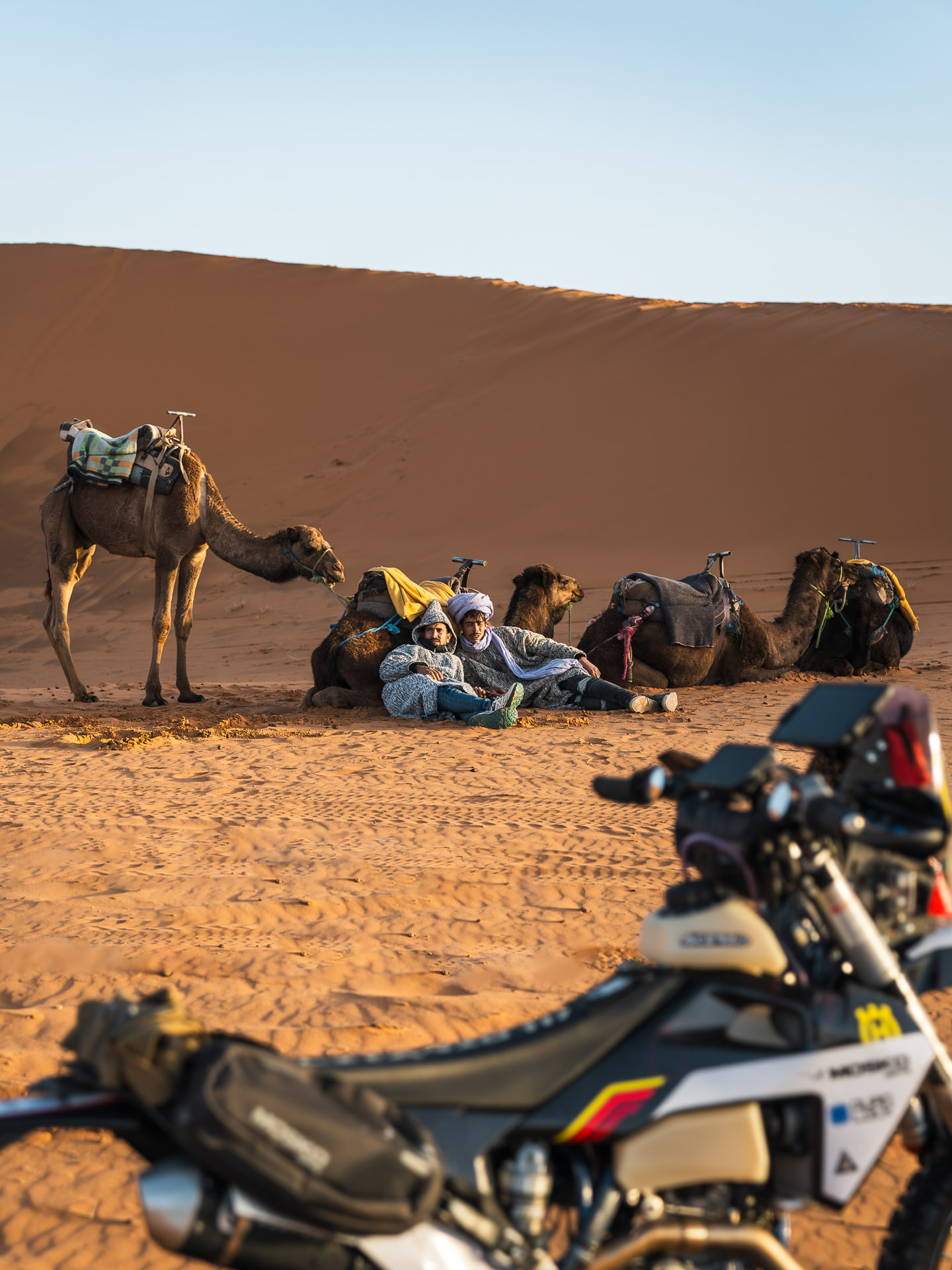 BMW R1250GS parked at a high-altitude fire lookout on an epic motorcycle travel route.
