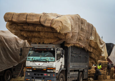 BTA17 NoRoute 15 - BTA Magazine