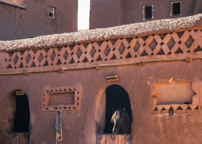 BTA17 NoRoute 31 - BTA Magazine