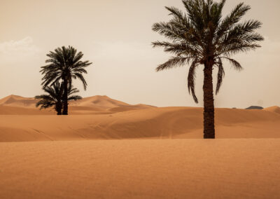 BTA17 NoRoute 32 - BTA Magazine