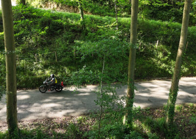 Diego Roson b2 c1 102 - BTA Magazine