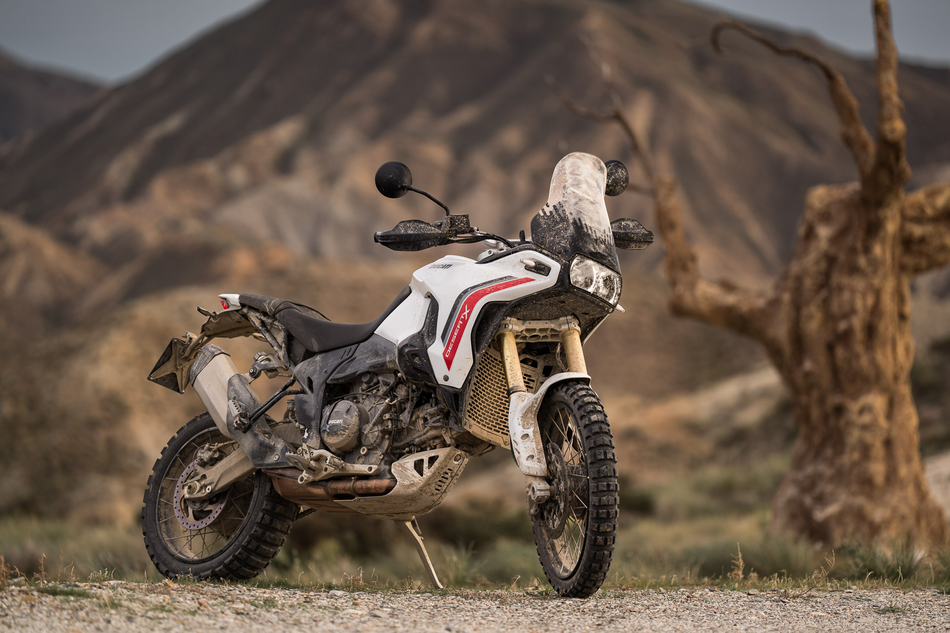 Ducati Desert X 2026 review big trail bike