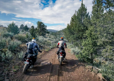 Oregon 047 - BTA Magazine
